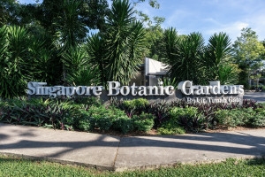 Explore Singapore - An Exclusive Guide