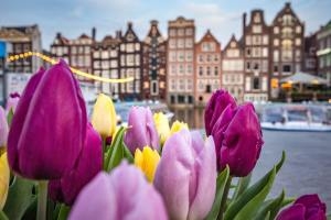 Explore Amsterdam - An Exclusive Guide